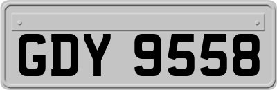 GDY9558
