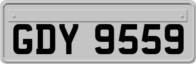 GDY9559