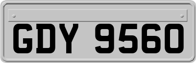 GDY9560