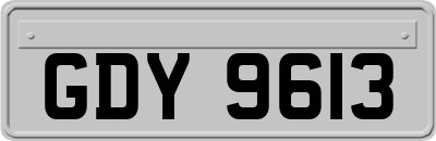 GDY9613