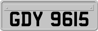 GDY9615