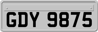 GDY9875