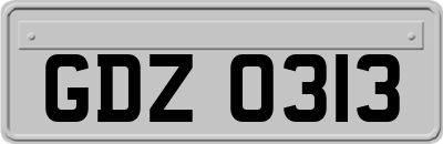 GDZ0313