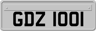 GDZ1001