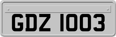 GDZ1003