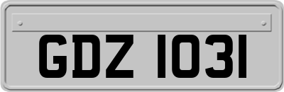 GDZ1031