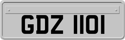 GDZ1101