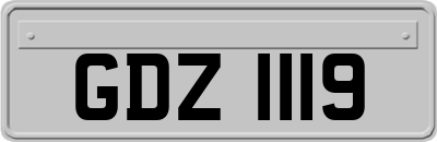 GDZ1119