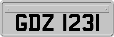 GDZ1231