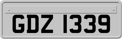GDZ1339