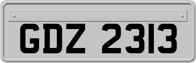 GDZ2313