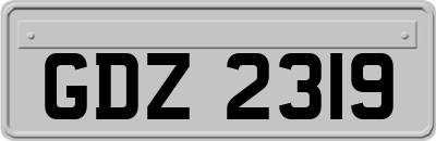 GDZ2319