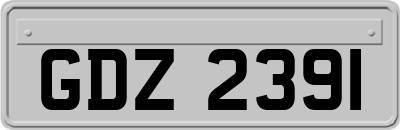 GDZ2391