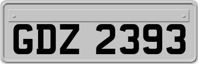 GDZ2393