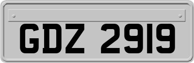 GDZ2919