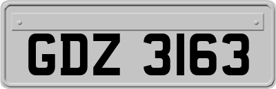 GDZ3163