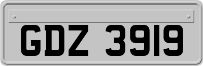 GDZ3919