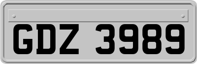 GDZ3989