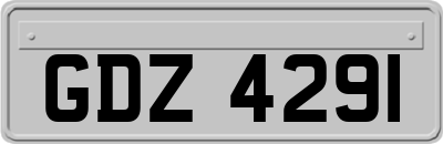 GDZ4291