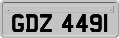 GDZ4491