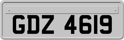 GDZ4619