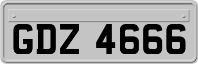GDZ4666