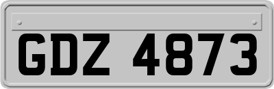 GDZ4873