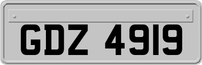 GDZ4919