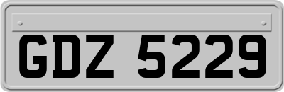 GDZ5229