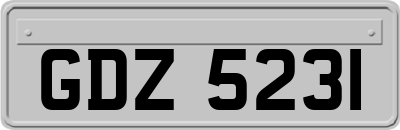 GDZ5231