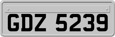 GDZ5239