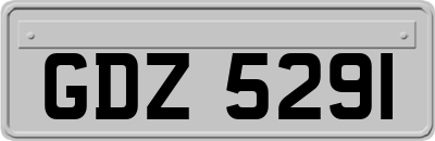 GDZ5291