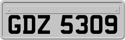 GDZ5309