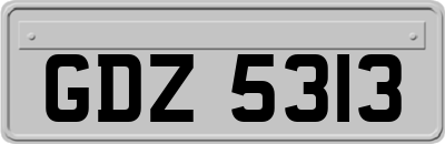 GDZ5313