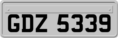 GDZ5339