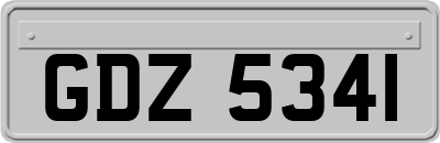 GDZ5341