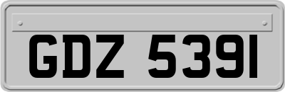 GDZ5391
