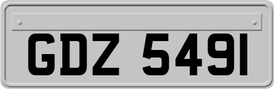 GDZ5491