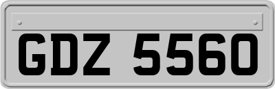 GDZ5560
