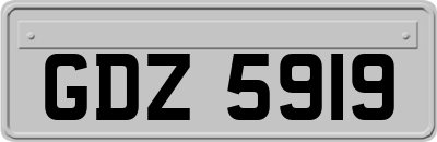 GDZ5919