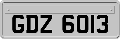 GDZ6013