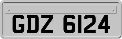 GDZ6124