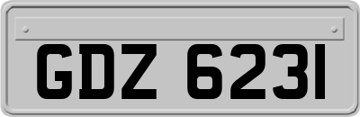 GDZ6231