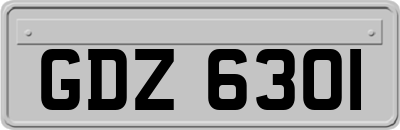 GDZ6301