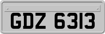 GDZ6313