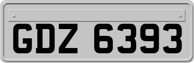 GDZ6393