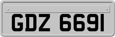 GDZ6691
