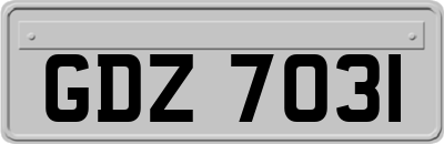 GDZ7031