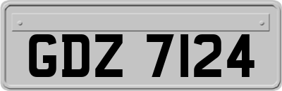 GDZ7124