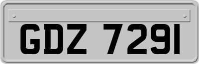 GDZ7291